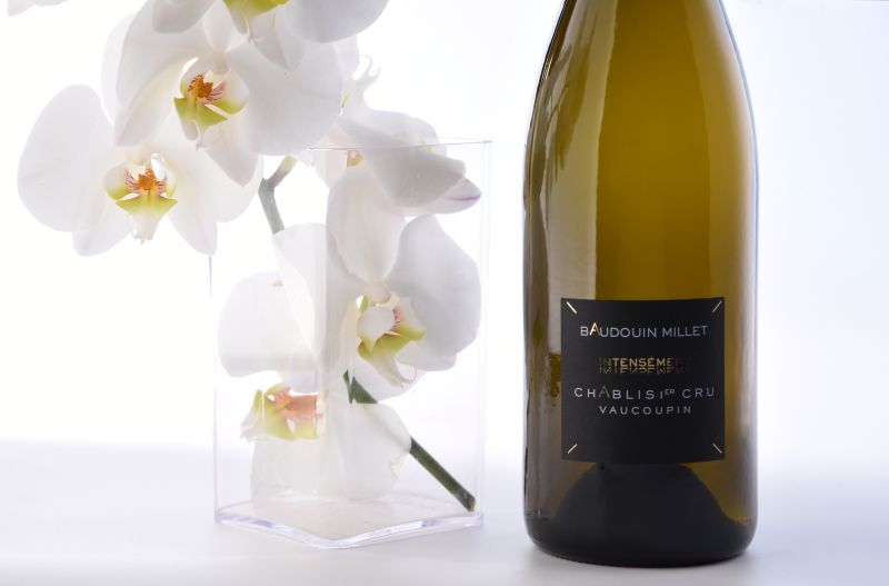 Chablis 1er Cru Vaucoupin du domaine Baudouin Millet : finesse d’un climat lumineux et profondeur d’un terroir inscrit dans le temps