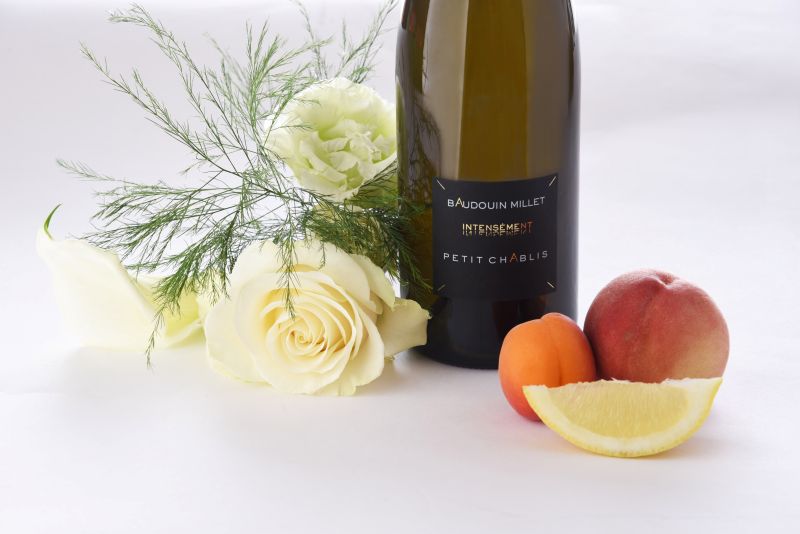 Zoom sur le Petit Chablis du Domaine Baudouin MILLET