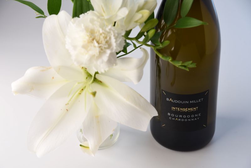 Mise en lumière du Bourgogne Chardonnay du Domaine Baudouin MILLET