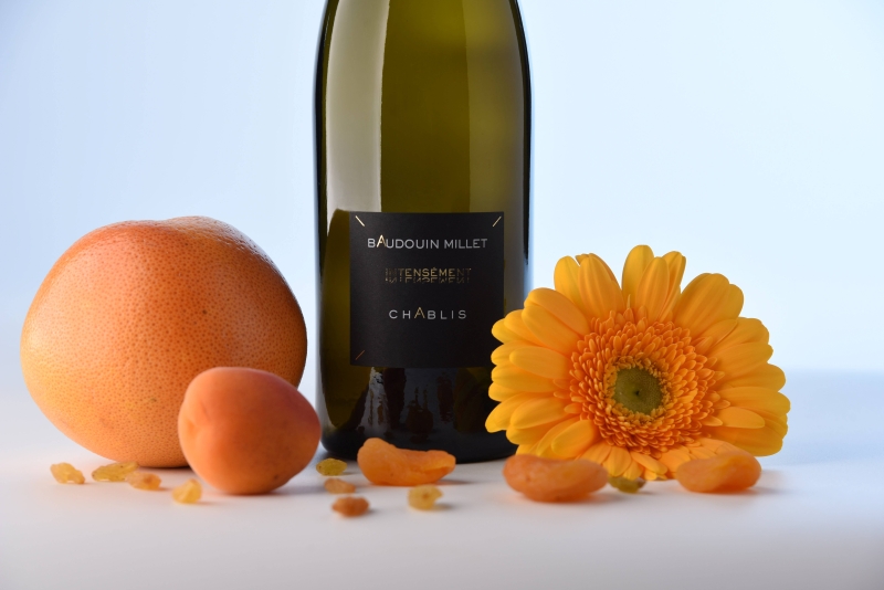 Le vin de Chablis Baudouin MILLET : un vin de précision façonné pour le plaisir et la clarté